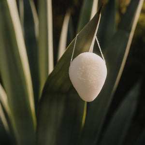 Konjac spons